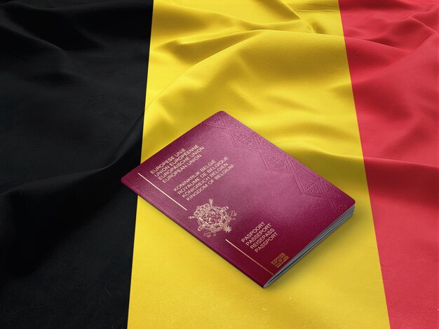 type-of-belgim-visa-felamingoo